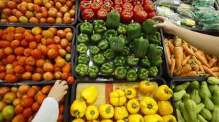 vegetables busines, Motilal Oswal
