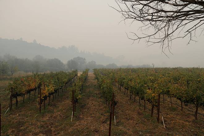 California, California fire, California wildfire, wildfires, Jerry Brown, Napa, Sonoma, Mendocino County