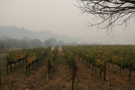 California, California fire, California wildfire, wildfires, Jerry Brown, Napa, Sonoma, Mendocino County