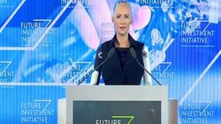 Saudi citizenship, Davos in the Desert, Saudi Arabia, Saudi Public Investment Fund, Saudi government, Future Investment Initiative