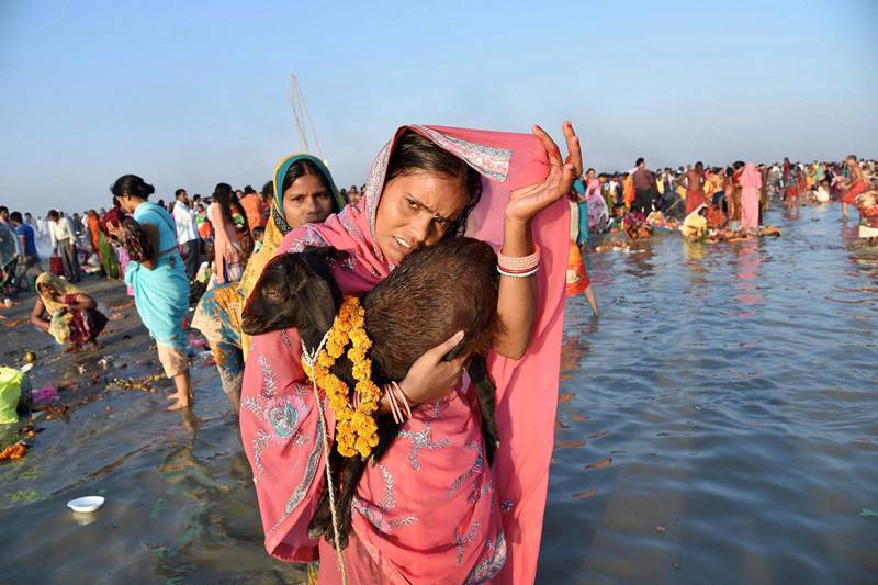 kartik purnima, kartik purnima 2017, kartik purnima devotees, kartik purnima rituals, kartik purnima timings, kartik purnima date, kartik purnima puja, kartik purnima history, kartik purnima tithi, kartik purnima drikpanchang