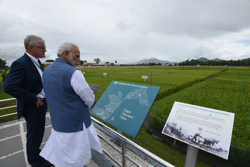 Narendra Modi in Philippines, Narendra Modi Philippines visit, Narendra Modi in manila, pm modi, pm narendra modi, PM visits rice research institute, latest news, latest pics, modi photos, modi in philippines photos