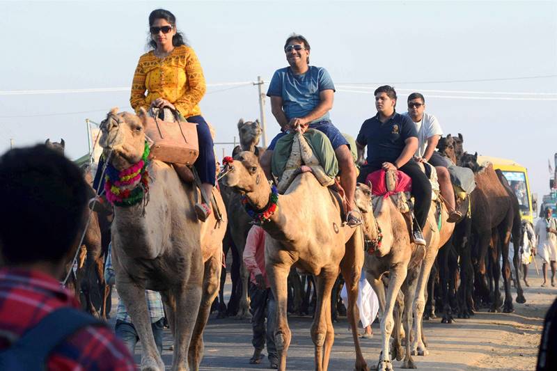 Pushkar Camel Fair, Pushkar Camel Fair 2017, Pushkar mela, Rajasthan Pushkar mela, Rajasthan famous Pushkar Camel Fair, Rajasthan, Camel Fair, pushkar