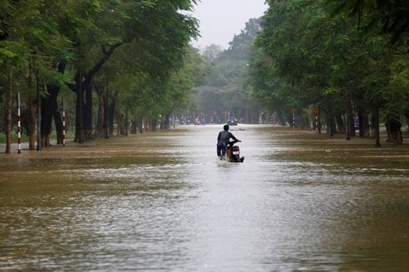 Typhoon Damrey, Typhoon, Damrey, Vietnam, storm, floods, powerful typhoon, typhoon damrey hits vietnam, vietnam hit by Typhoon Damrey, flooding, Asia-Pacific summit, economic summit, death toll