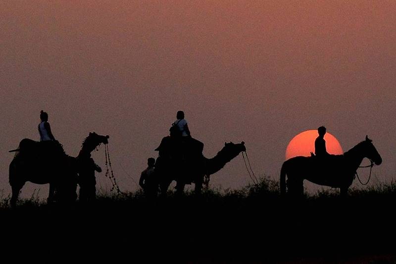 Pushkar Camel Fair, Pushkar Camel Fair 2017, Pushkar mela, Rajasthan Pushkar mela, Rajasthan famous Pushkar Camel Fair, Rajasthan, Camel Fair, pushkar
