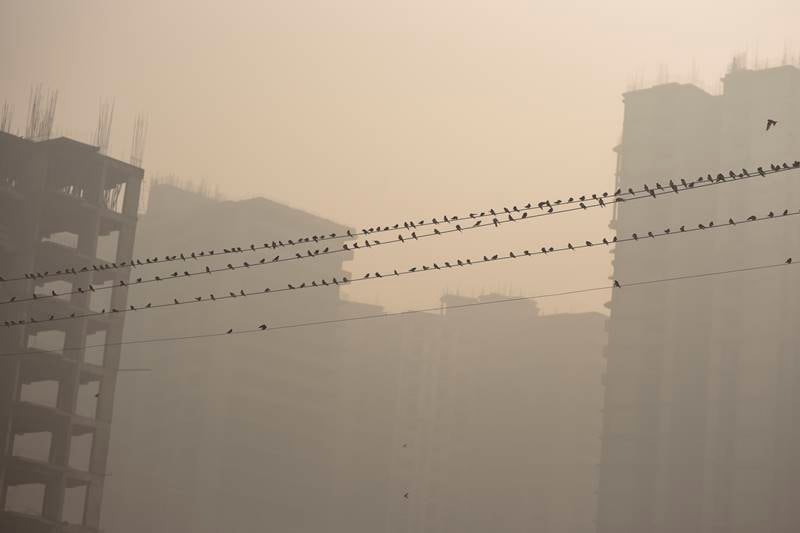 air pollution, delhi pollution, delhi air pollution, delhi smog, smog in delhi, odd even, what is odd even, odd even rules, noida
