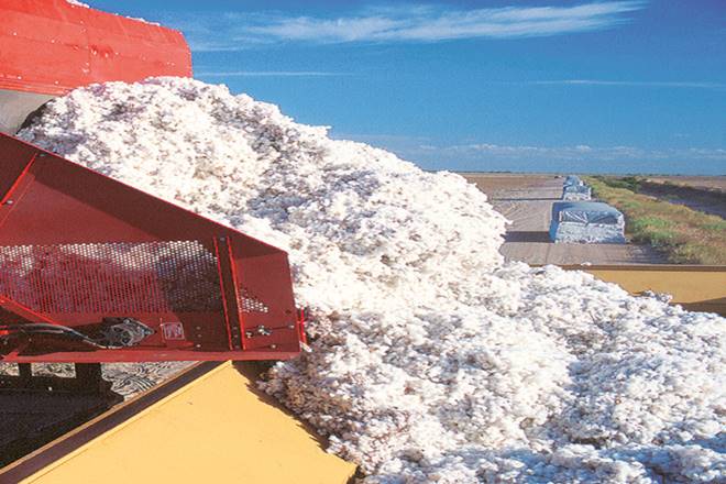 GST, Gujarat, cotton ginning industry, Gujarat cotton ginning, Gujarat cotton ginning industry, cotton ginning industry unhappy, block money