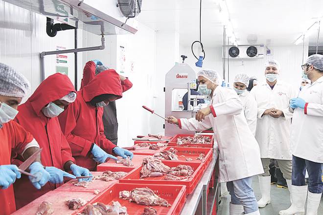 Bengaluru startup, prime cuts, meat market, animal slaughter, quality of meat, quality of meat in market Bengaluru startup, prime cuts, meat market, animal slaughter, quality of meat, quality of meat in market