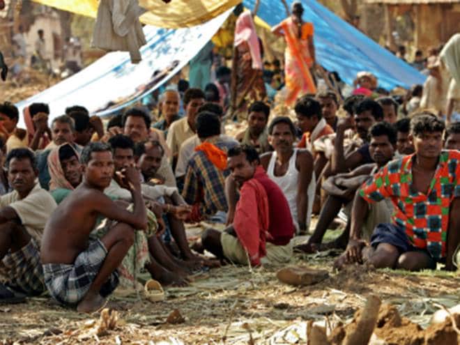 Rajasthan, Rajasthan government, Rajasthan tribals, tribals source of livelihood, transit permits for transporting, tribals in Rajasthan