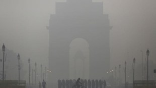 Delhi declares emergency, toxic smog thickens, toxic smog, smog in Delhi, Delhi smog, pollution in Delhi, Delhi pollution, toxic smog in Delhi, illegal crop burning, pollution emergency, Delhi pollution