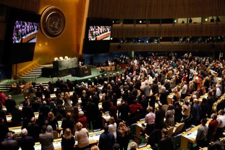 UNGA, pakistan, Organisation of Islamic Cooperation, General Assembly, Maleeha Lodhi, UN summits, international community, UN General Assembly UNGA, pakistan, Organisation of Islamic Cooperation, General Assembly, Maleeha Lodhi, UN summits, international community, UN General Assembly