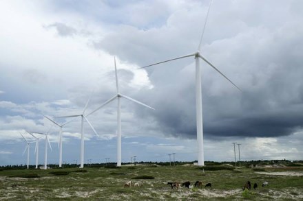 The proposed auction to procure 500 MW wind power in Gujarat, which was expected to be conducted this week, has been deferred further. (Image: Reuters)