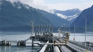 china, xi jinping, sinopec, alaska lng, trump china visit, donald trump