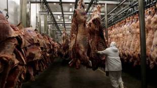 beef industry, asia beef, china beef industry, minerva sa beef company, south american beef industry