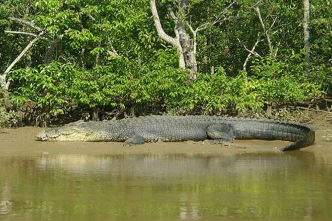 Germany friedberg zoo, no swimming, crocodile, kids swimming, court ban