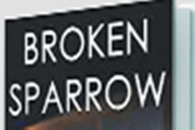 broken sparrow, rishi raj book