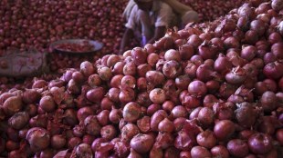 Onion prices, onion,  Asia's largest vegetable market, Wholesale and retail prices, Azadpur mandi, Retail onion prices, Asia's biggest market for onion 