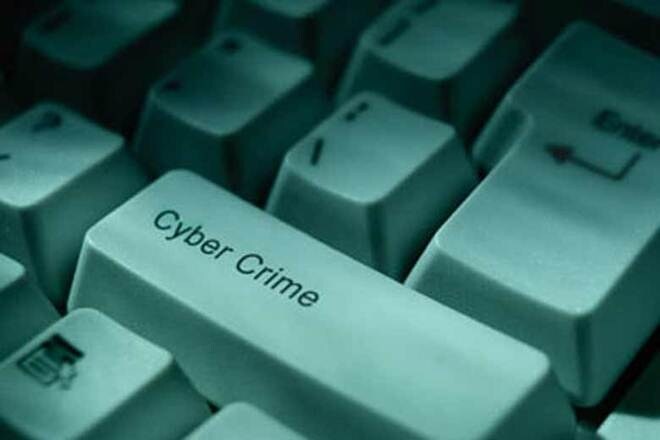 Cyber crime, US, poll
