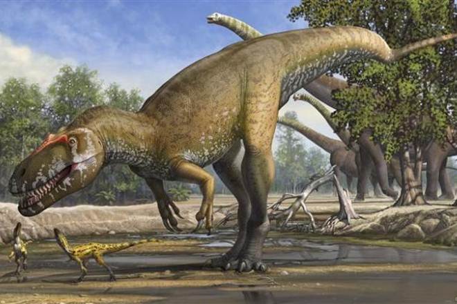 Dinosaurs, asteroid, Yucatan Peninsula, mexico, macroevolution of mammals, Earth, history of human life, Yucatan Peninsula