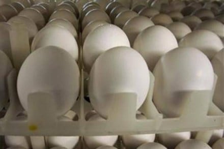 Eggs price rise, rise in price of eggs