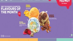 Havmor, Gujarat ice-cream industry, Lotte Confectionery, Indian market, South Korean food , ice-cream brands, Havmor Ice Cream 