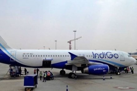 indigo, doha flight, chennai airport, bird hit