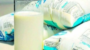 milk, milk production, dairy, dairy farming, dairy production, dairy output, farmers income, dairy income