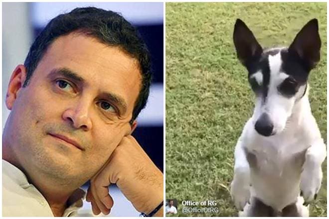 weekly roundup, coomi kapoor inside track, weekly analysis by coomi kapoor