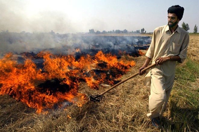 delhi pollution, farmers, indian farmers, stubble burning, crop burning, smog in delhi, pollution in delhi, delhi air pollution, arvind kejriwal