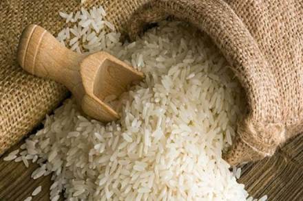 basmati rice export, rice export, rice export in india, basmati rice production in india, rice production in india basmati rice export, rice export, rice export in india, basmati rice production in india, rice production in india