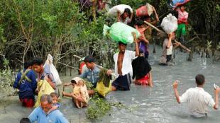 rohingya issue, rohingya crisis, rohingya, rohingya muslims, rohingya refugees, rohingya myanmar, rohingya bangladesh