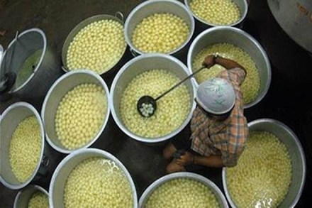 Rosogolla, West Bengal, Odisha, Rosogolla in kolkata, best Rosogolla in kolkata, Rosogolla in west bengal, Rosogolla recipe, bengal vs odisha, odisha sweets, bengali sweets, top bengali sweets, best Rosogolla