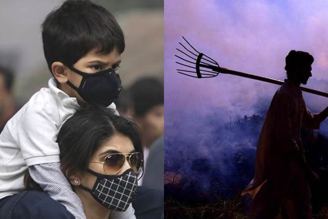 Delhi chokes on air pollution: Why blame farmers for burning crops ...