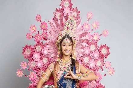 Lost satellite, lost satellite mission, NASA, Japan Aerospace Exploration Agency, Soft X-ray Spectrometer, Type Ia supernovas, sun, UK, hot gas Lost satellite, lost satellite mission, NASA, Japan Aerospace Exploration Agency, Soft X-ray Spectrometer, Type Ia supernovas, sun, UK, hot gas