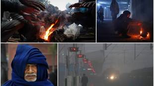 delhi cold, cold wave, cold wave in delhi, winter season, fog, snowfall, delhi temperature, trains cancelled, trains delayed, north india, latest news