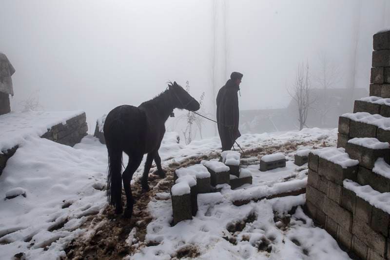Snowfall in Kashmir, Kashmir Snowfall, Snowfall in srinagar, srinagar gets first snowfall, kashmir valley, snowfall, snow, heavy rain, first snowfall, jammu and kashmir, cold in kashmir, leh, winter season