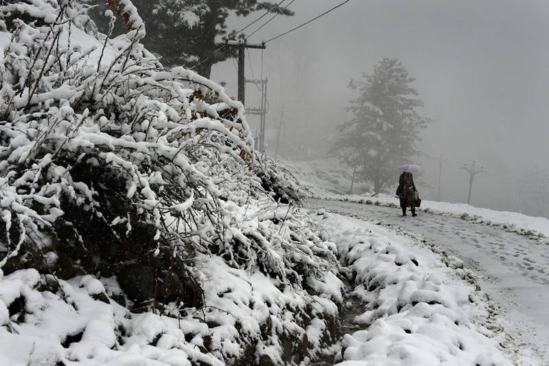 Snowfall in Kashmir, Kashmir Snowfall, Snowfall in srinagar, srinagar gets first snowfall, kashmir valley, snowfall, snow, heavy rain, first snowfall, jammu and kashmir, cold in kashmir, leh, winter season