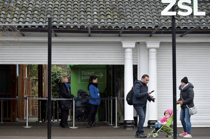 London zoo fire, London, London fire, zoo, aardvark, animals, zoo cafe, world news, london news, london zoo pics