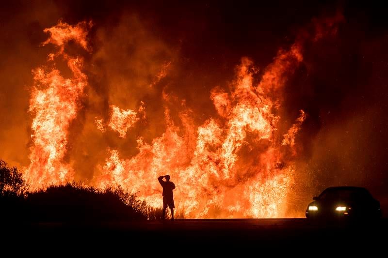 California wildfire, california fire, Los Angeles fire, california fire death, california fire photos, california wildfire latest news, Rupert Murdoch winery, wildfire destroy homes, wildfire, California, California latest news