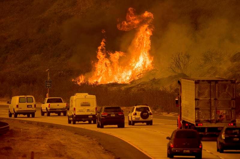 California wildfire, california fire, Los Angeles fire, california fire death, california fire photos, california wildfire latest news, Rupert Murdoch winery, wildfire destroy homes, wildfire, California, California latest news