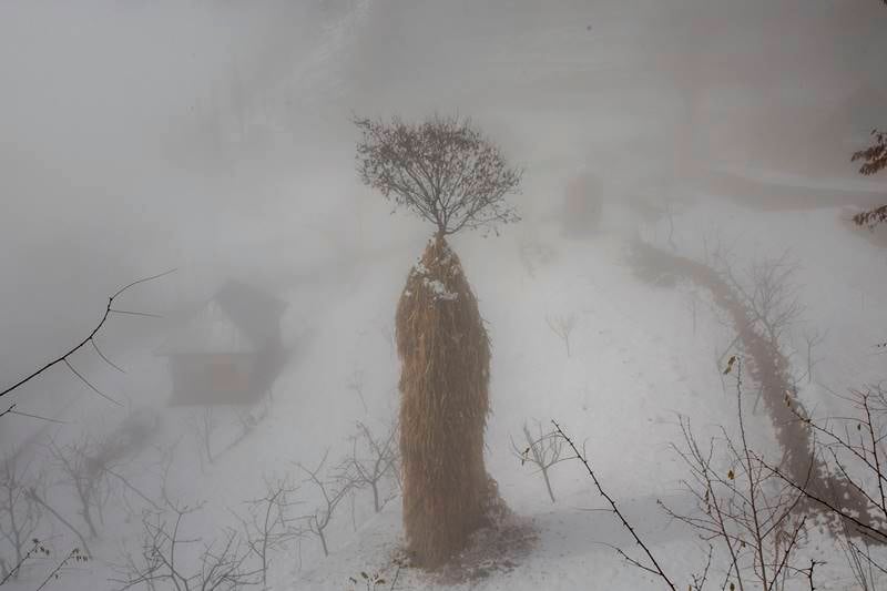 Snowfall in Kashmir, Kashmir Snowfall, Snowfall in srinagar, srinagar gets first snowfall, kashmir valley, snowfall, snow, heavy rain, first snowfall, jammu and kashmir, cold in kashmir, leh, winter season