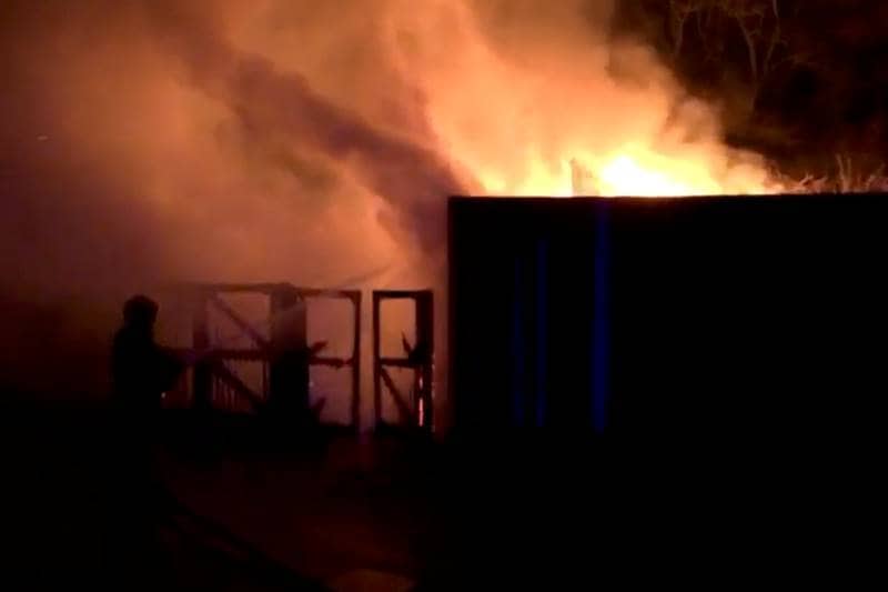 London zoo fire, London, London fire, zoo, aardvark, animals, zoo cafe, world news, london news, london zoo pics