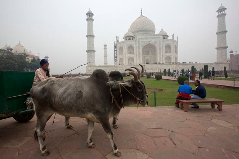 taj mahal, taj mahal cleaning, taj mahal photos, taj mahal news, taj mahal in agra, agra, World Heritage site, where is taj mahal, taj mahl best time to visit, agra photos