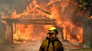 California wildfire, california fire, Los Angeles fire, california fire death, california fire photos, california wildfire latest news, Rupert Murdoch winery, wildfire destroy homes, wildfire, California, California latest news