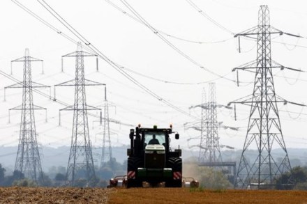 CESC, calcutta electric supply, electricity news, CESC news