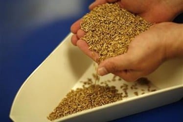 fibre food, food with rich fibre, diabetes, diabetes diet, diabetes treatment, risk of diabetes, inflammatory bowel diseases, fibre rich food, health, health news, health stories