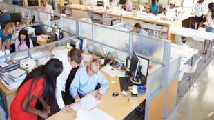HR policies, AI, Artificial Intelligence, Automation