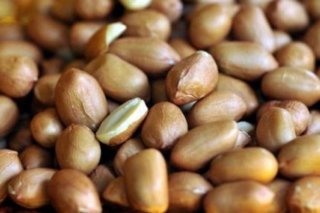 Gujarat, groundnut, groundnut storage capacity, storage crisis