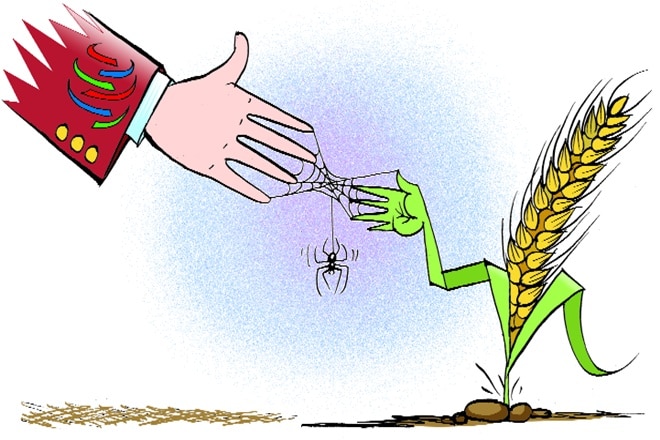 Ministerial Conference, MC11, World Trade Oragnisation, WTO, export subsidies, agriculture