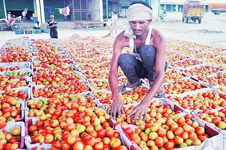 West Bengal, AMPC, e-mandi